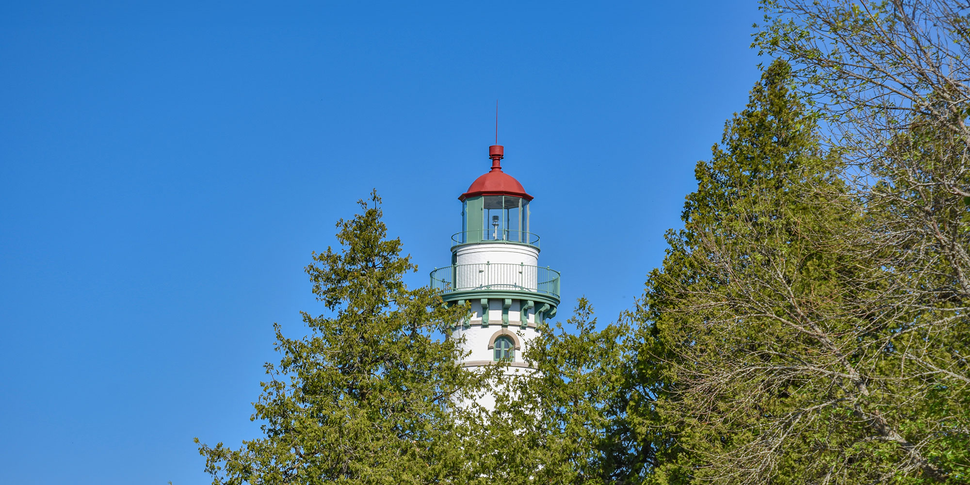 Seul Choix Point Light