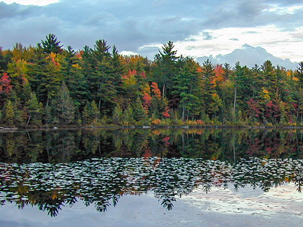 Hiawatha National Forest