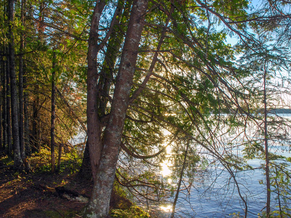 Indian Lake State Park