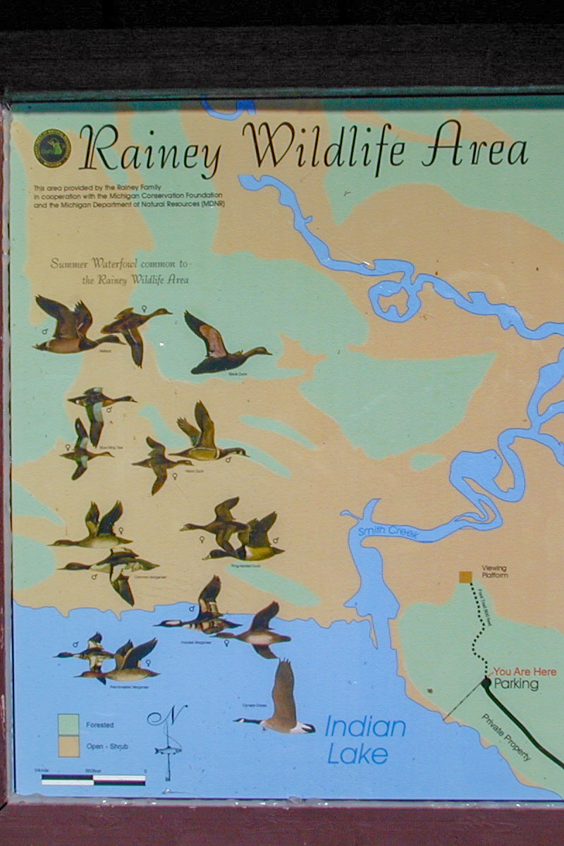 Rainey Wildlife Area
