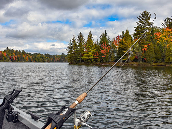 Hiawatha National Forest