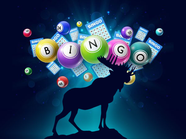 Bingo