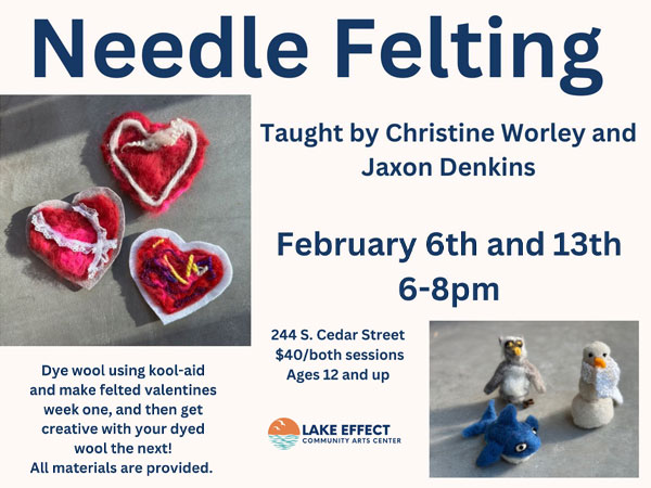 Needle Felting Class