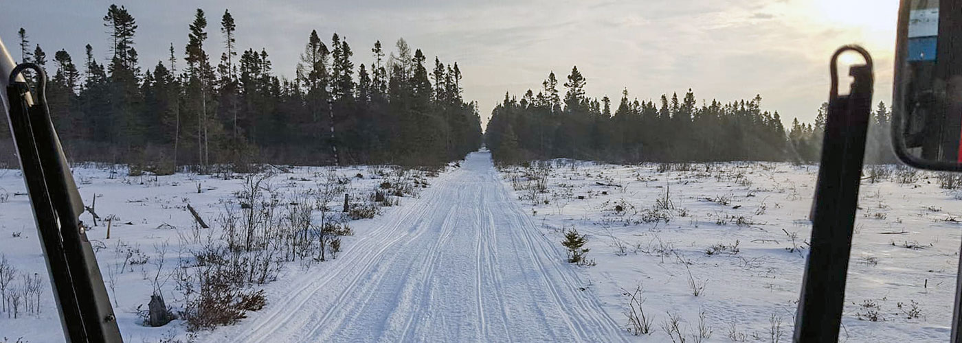 Winter Trails