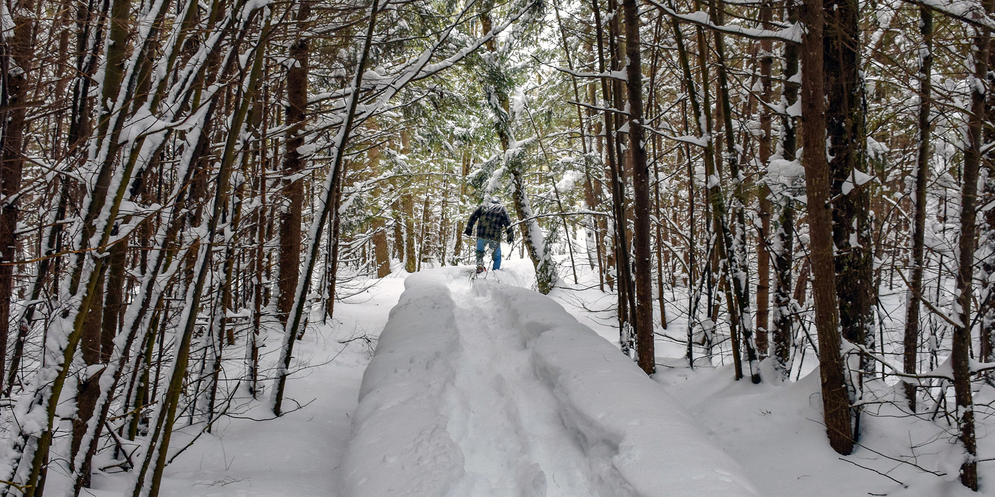 Manistique Area Snowshoeing