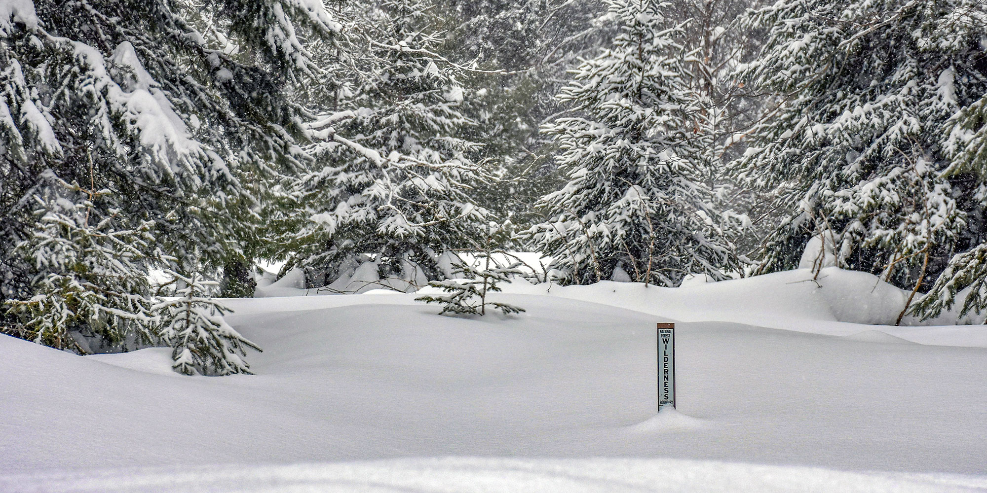 Hiawatha National Forest Winter