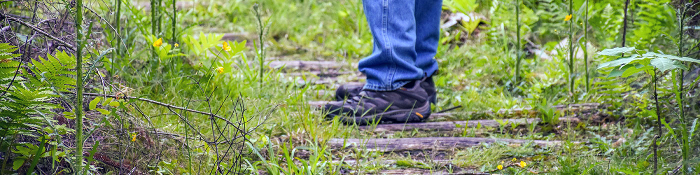 Manistique Area Hiking