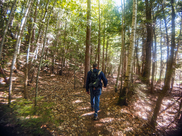 Manistique Hiking Trails