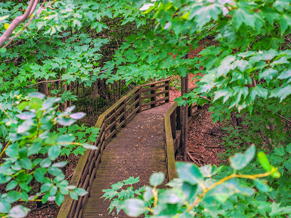 Rainey Wildlife Area