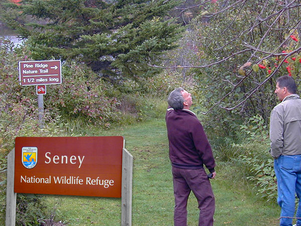 Seney Wildlife Refuge