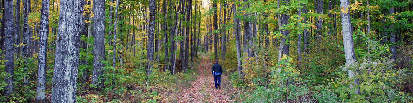 Indian Lake Pathway