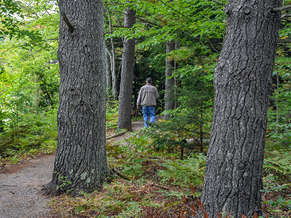 Manistique Area Hiking