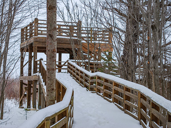 Rainey Viewing Platform