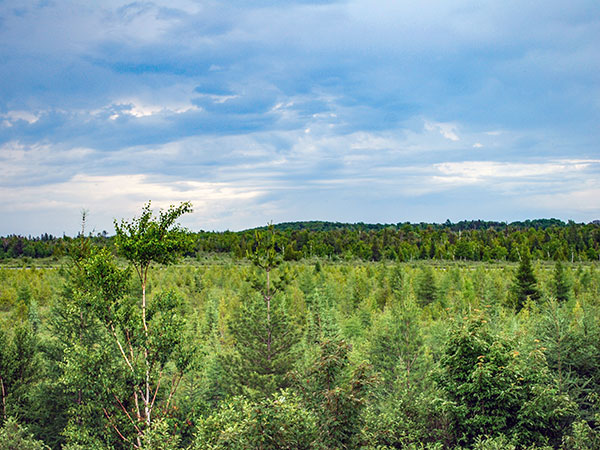 Rainey Wildlife Area