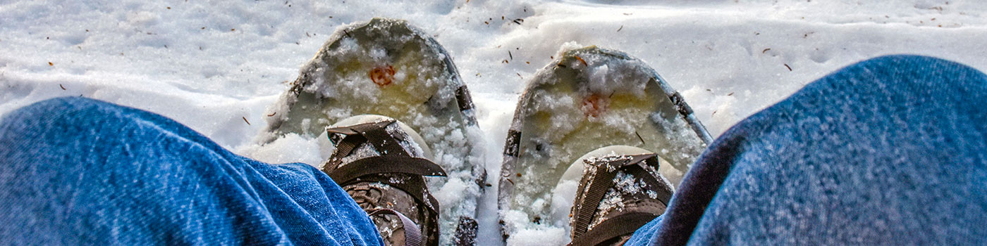 Snowshoes Manistique