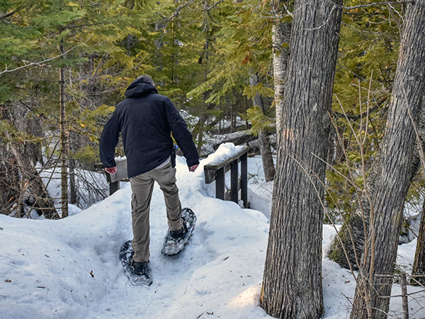 Manistique Hiking Trails