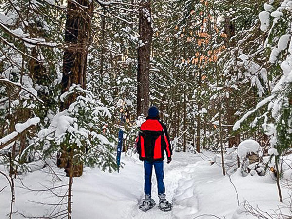 Munising Ski & Snowshoe Trails