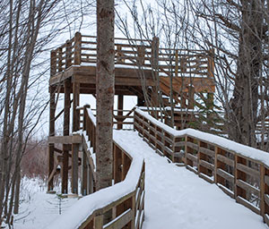 Rainey Wildlife Sanctuary Gallery