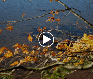 Colwell Lake Video